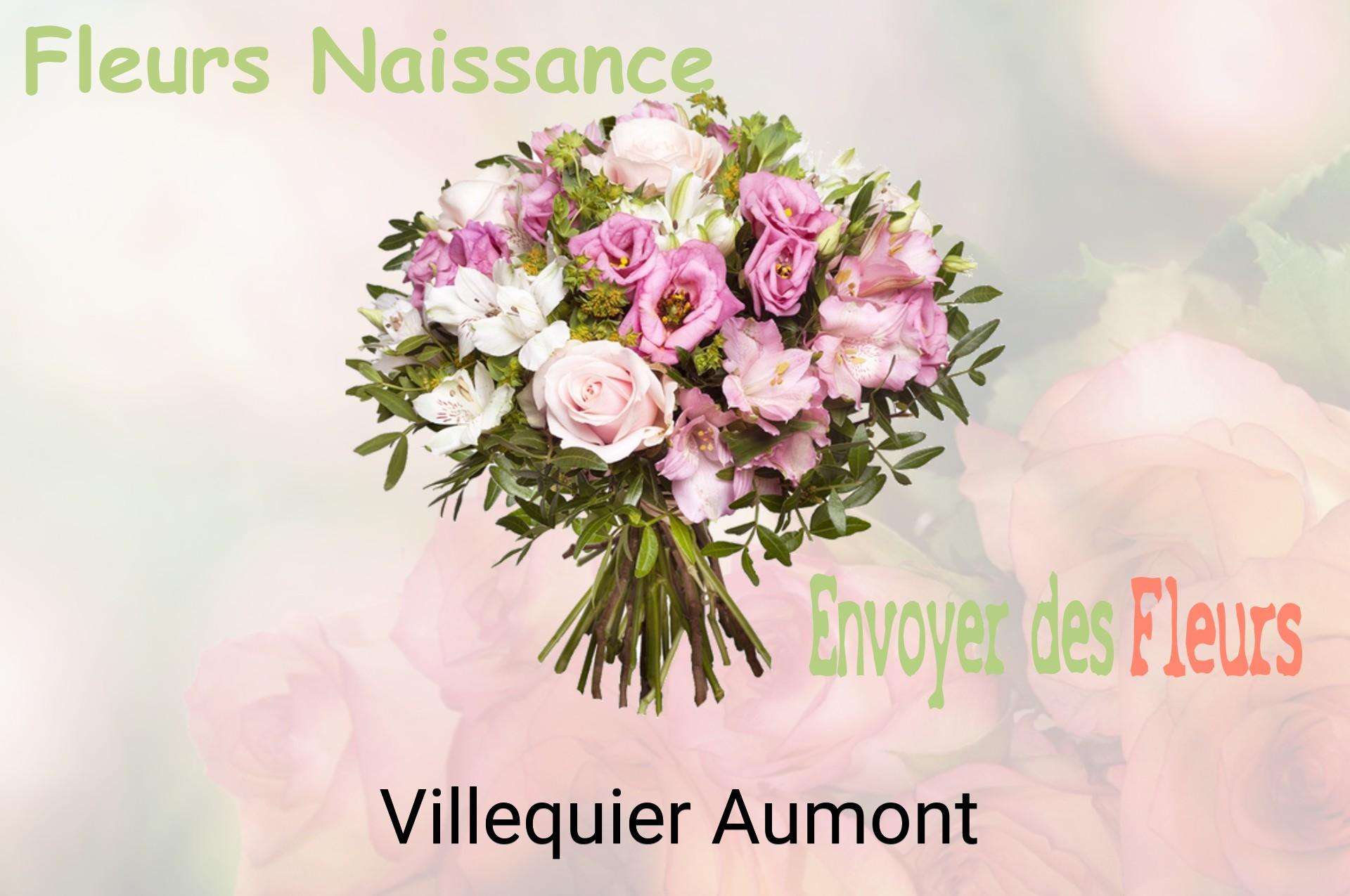 Bouquet de fleurs de naissance livré à Villequier-Aumont