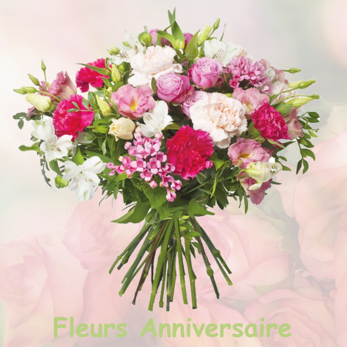 fleurs anniversaire VILLEQUIER-AUMONT
