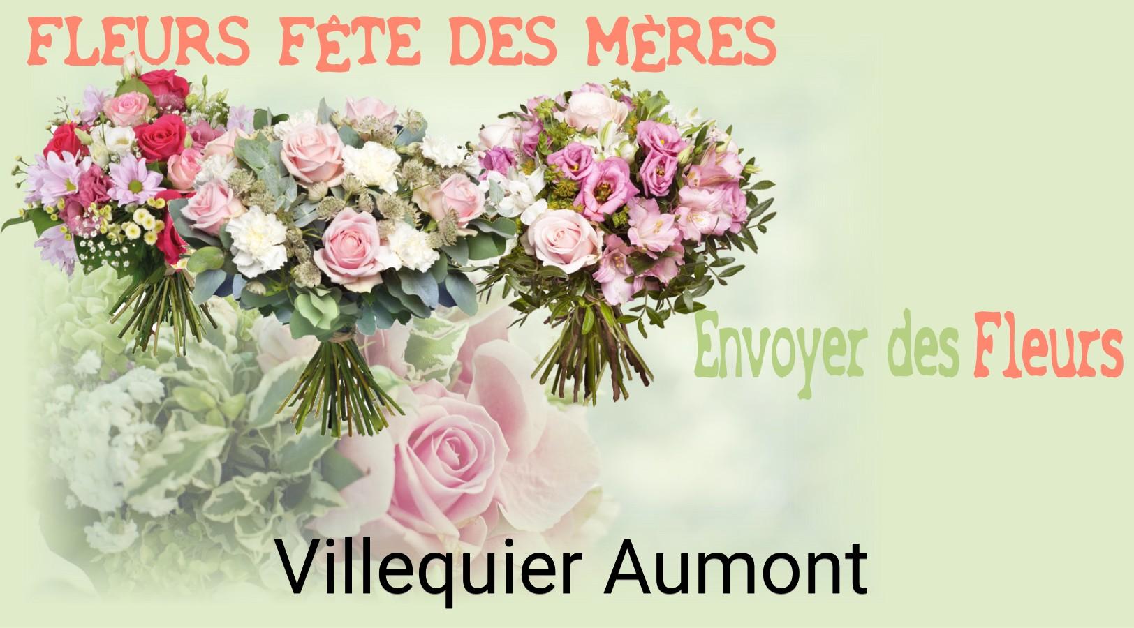 Bouquet de Fête des Mères livré à Villequier-Aumont